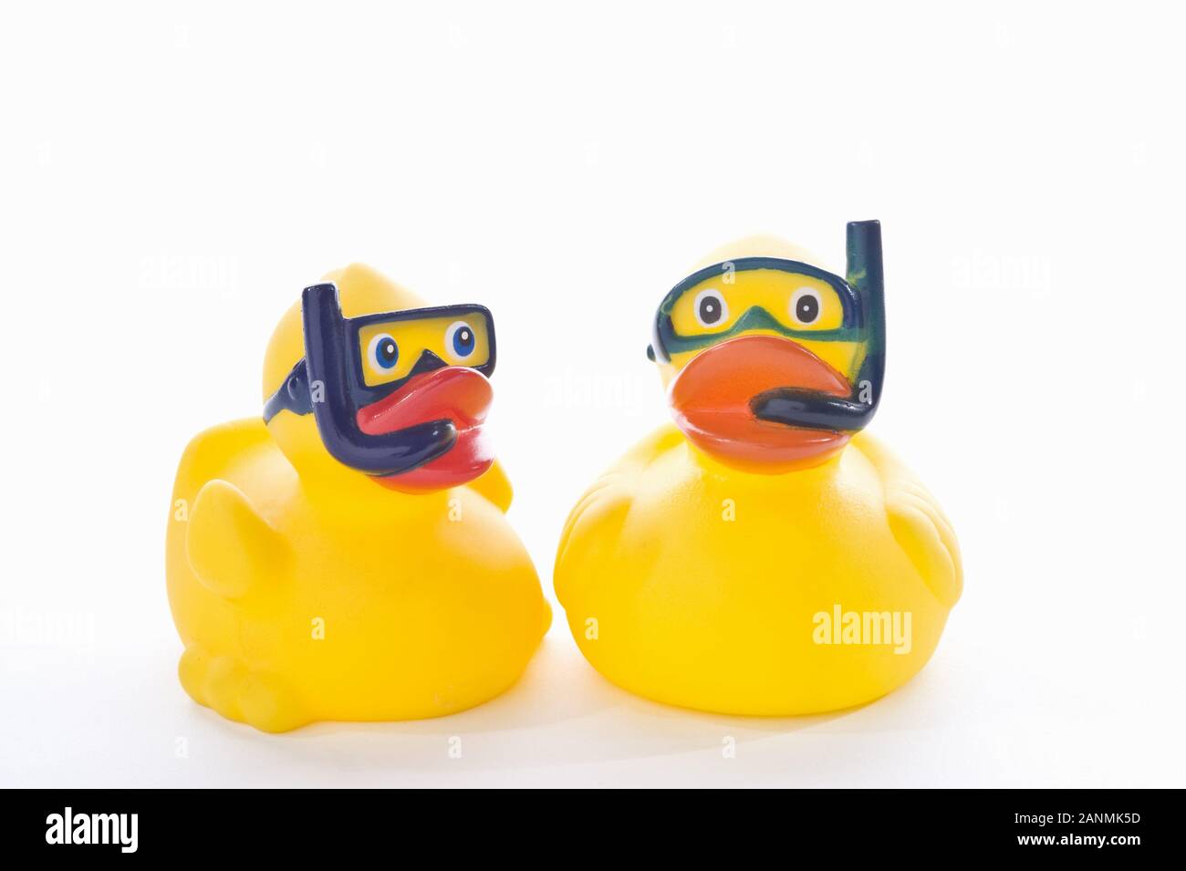 Badeente, Taucher - Rubber Duck, Diver Stockfoto