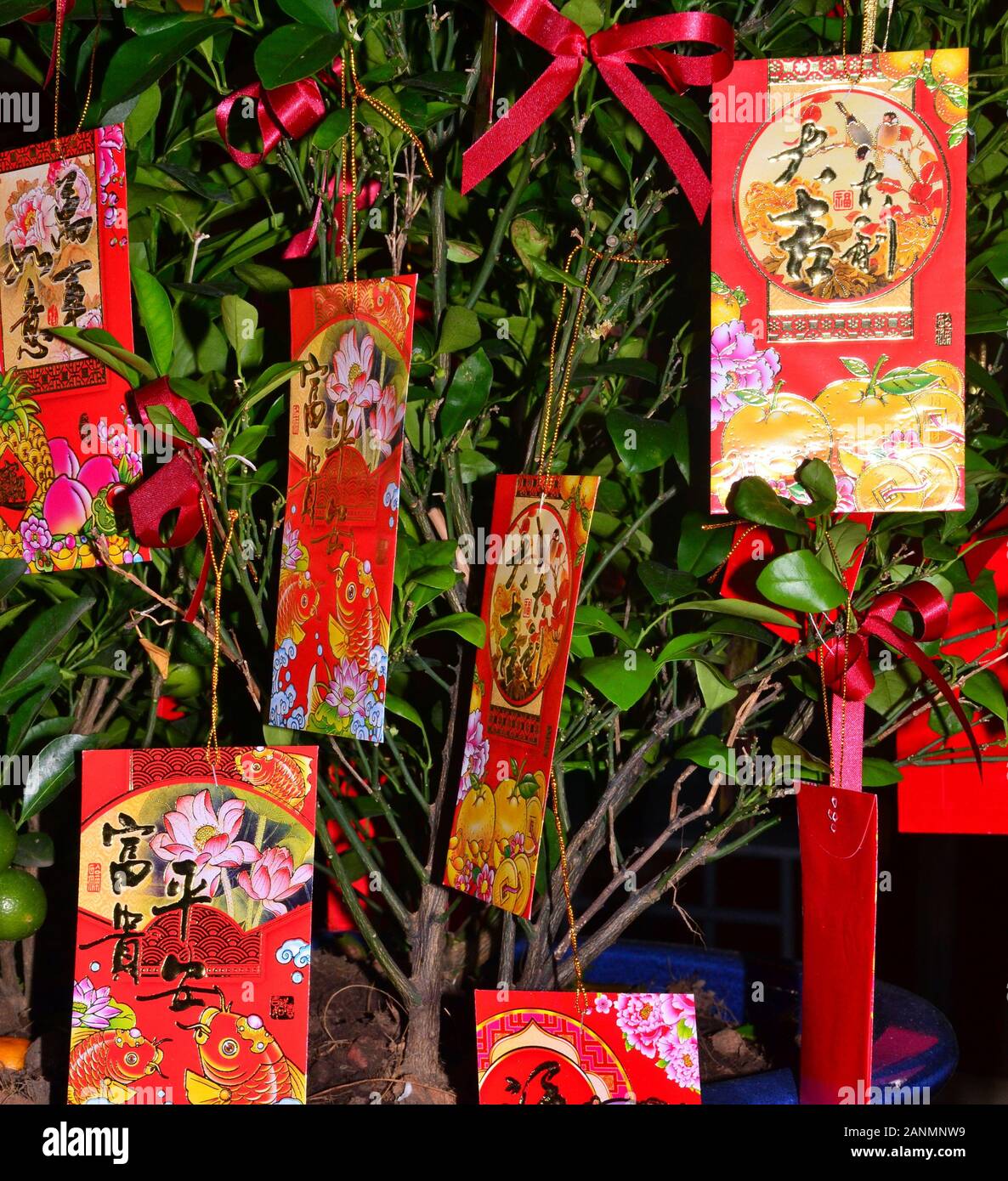 Chinesisches Neues Jahr Dekorationen in einem Hotel in Patong Beach, Phuket, Thailand, Asien. Das neue Jahr, oder Spring Festival, beginnt am 25. Januar und endet am 4. Februar. 2020 ist das Jahr der Ratte. Stockfoto