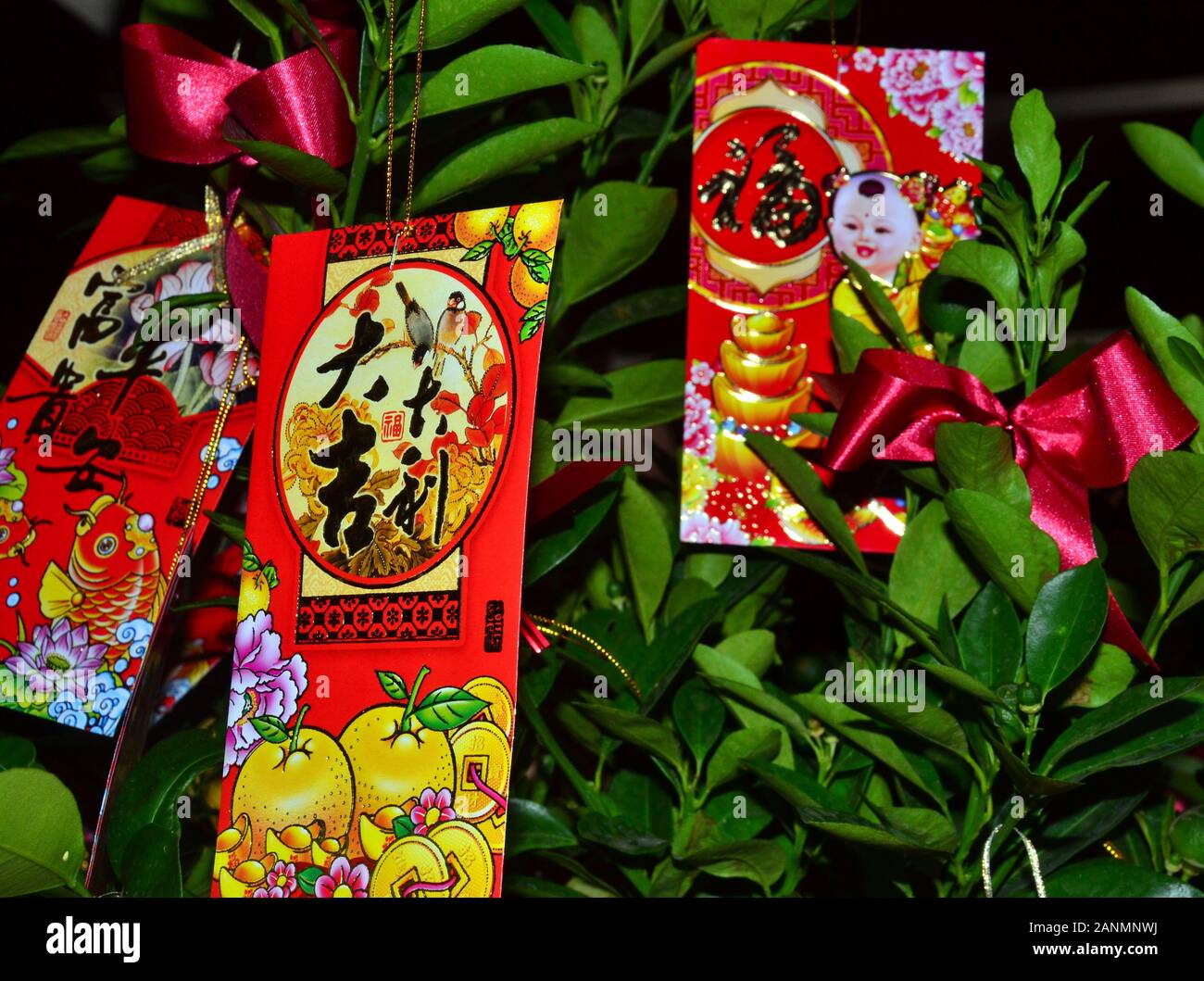 Chinesisches Neues Jahr Dekorationen in einem Hotel in Patong Beach, Phuket, Thailand, Asien. Das neue Jahr, oder Spring Festival, beginnt am 25. Januar und endet am 4. Februar. 2020 ist das Jahr der Ratte. Stockfoto