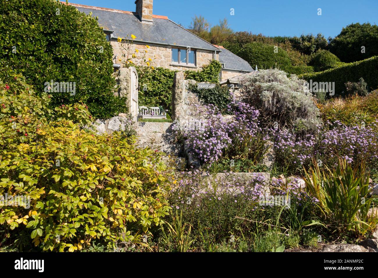 Ziemlich Cornish Cottage Garten an einem sonnigen Tag im September mit klaren blauen Himmel, Polventon, Porthgwarra, Cornwall, Großbritannien Stockfoto