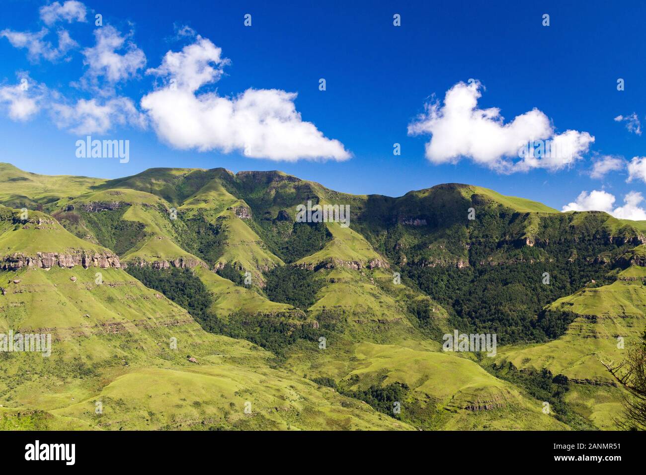 Blick über sanfte grüne Berge, sonnigen Tag mit blauem Himmel, Drakensberge, Giants Castle Game Reserve, Südafrika Stockfoto