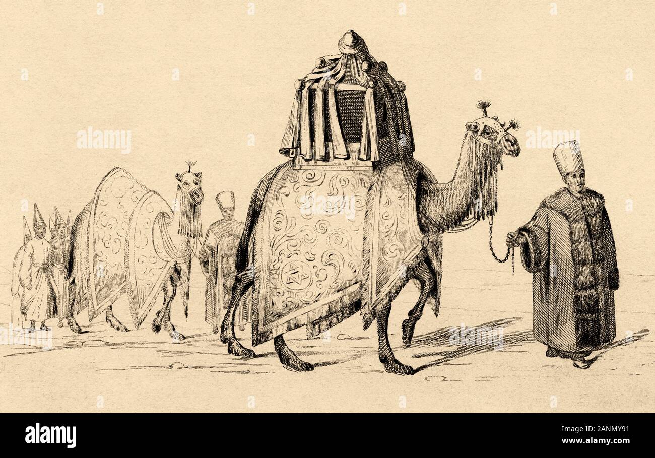 Heilige Kamel und Kamel der Respekt. Geschichte von Saudi-arabien. Alte Gravur in L'Univers Arabien veröffentlicht, in 1841. Geschichte des alten Arabien Stockfoto