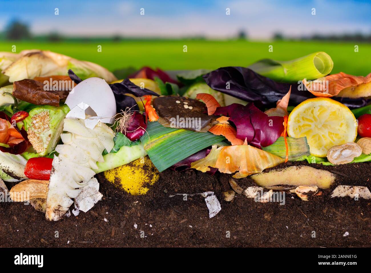 Bunte Komposthaufen von rotting Küche Gemüse, bestehend aus Zitrone und Zwiebel schält und Blumenkohl Blätter Stockfoto