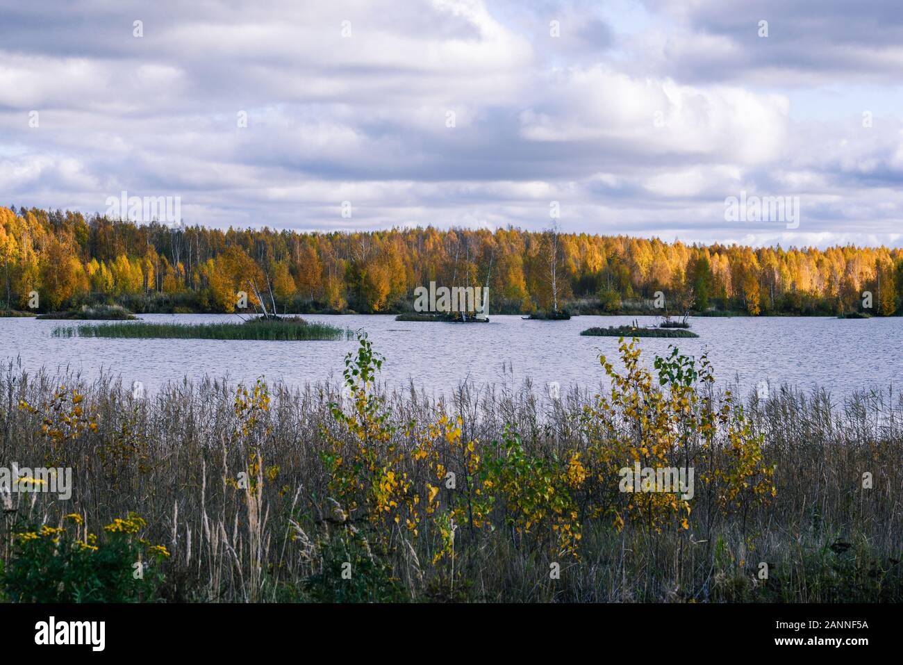 Herbst Landschaft mit Blick auf den See, die Inseln und die Bäume. Trübes Wetter. Helle Farben der Natur. Stockfoto