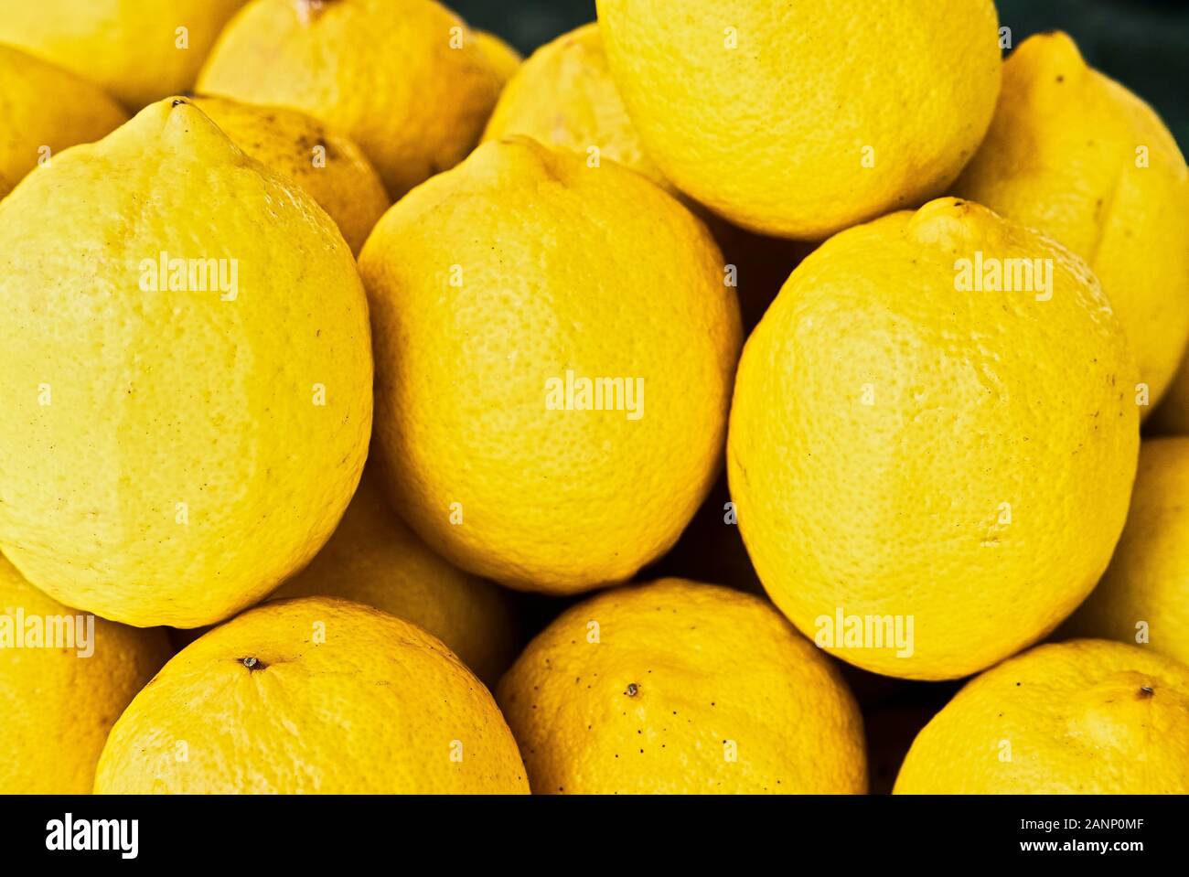 Ein Bündel von ganzen Reife Zitronen aufgetürmte bei Farmers Markt in Asien. Die Früchte der Haut zeigen einige Schönheitsfehler, Zeichen für eine gesunde ökologische Landwirtschaft Praxis Stockfoto