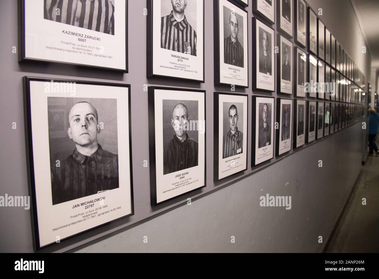 Bilder der Inhaftierten in Ausstellung in Block 7 (Baracke 7) im nationalsozialistischen deutschen Konzentrationslager Auschwitz I (Stammlager Auschwitz I das Konzentrationslager Stockfoto