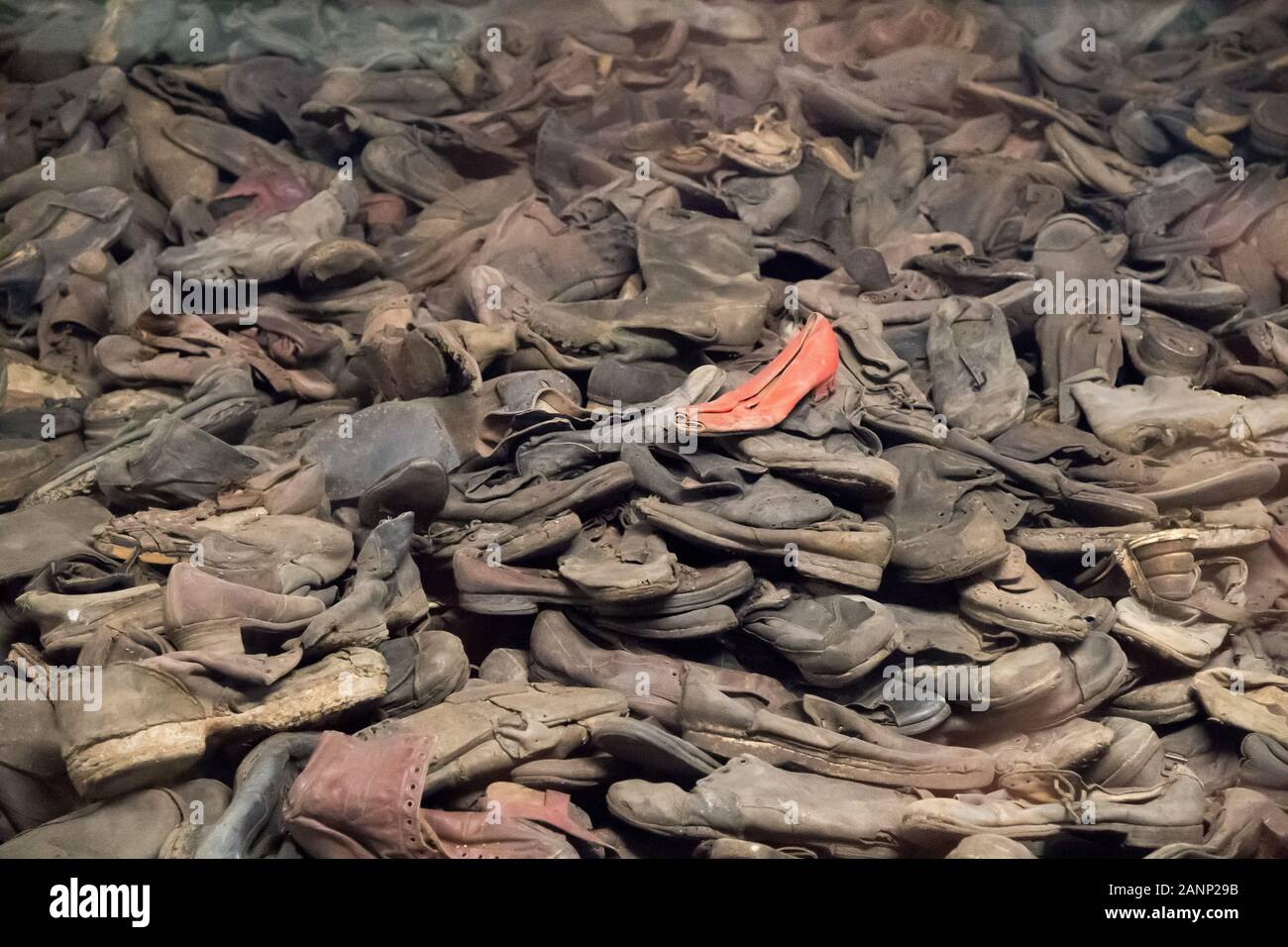 Physische Beweise von Verbrechen Ausstellung in Block 5 (Baracke 5) im nationalsozialistischen deutschen Konzentrationslager Auschwitz I (Stammlager Auschwitz I Konzentrationslager Stockfoto