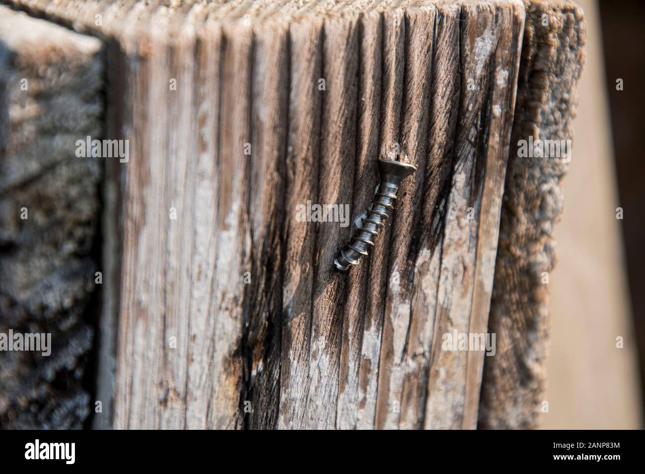 Verbogene Schraube in einem alten Wald Stockfoto