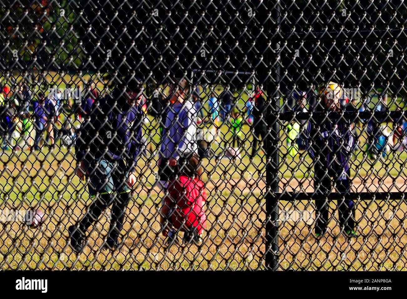 Kinder Baseball-Spiel in Prospect Park Brooklyn NYC Stockfoto