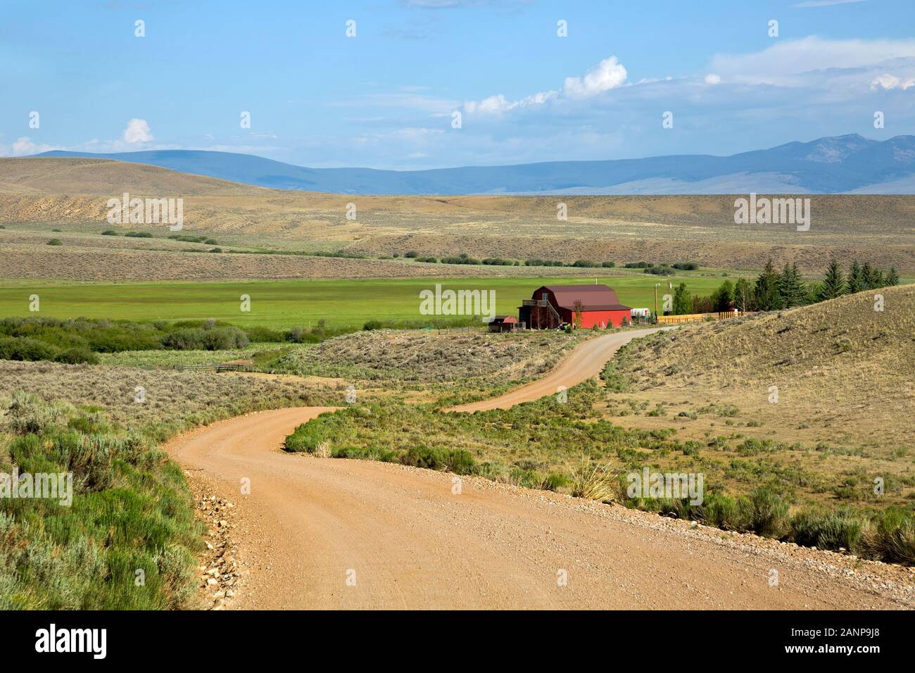 MT 00389-00 ... MONTANA - Sonniger Morgen entlang einer Landstrasse durch Farm und Ranch Land folgte auf dem Great Divide Mountain Bike Route. Stockfoto