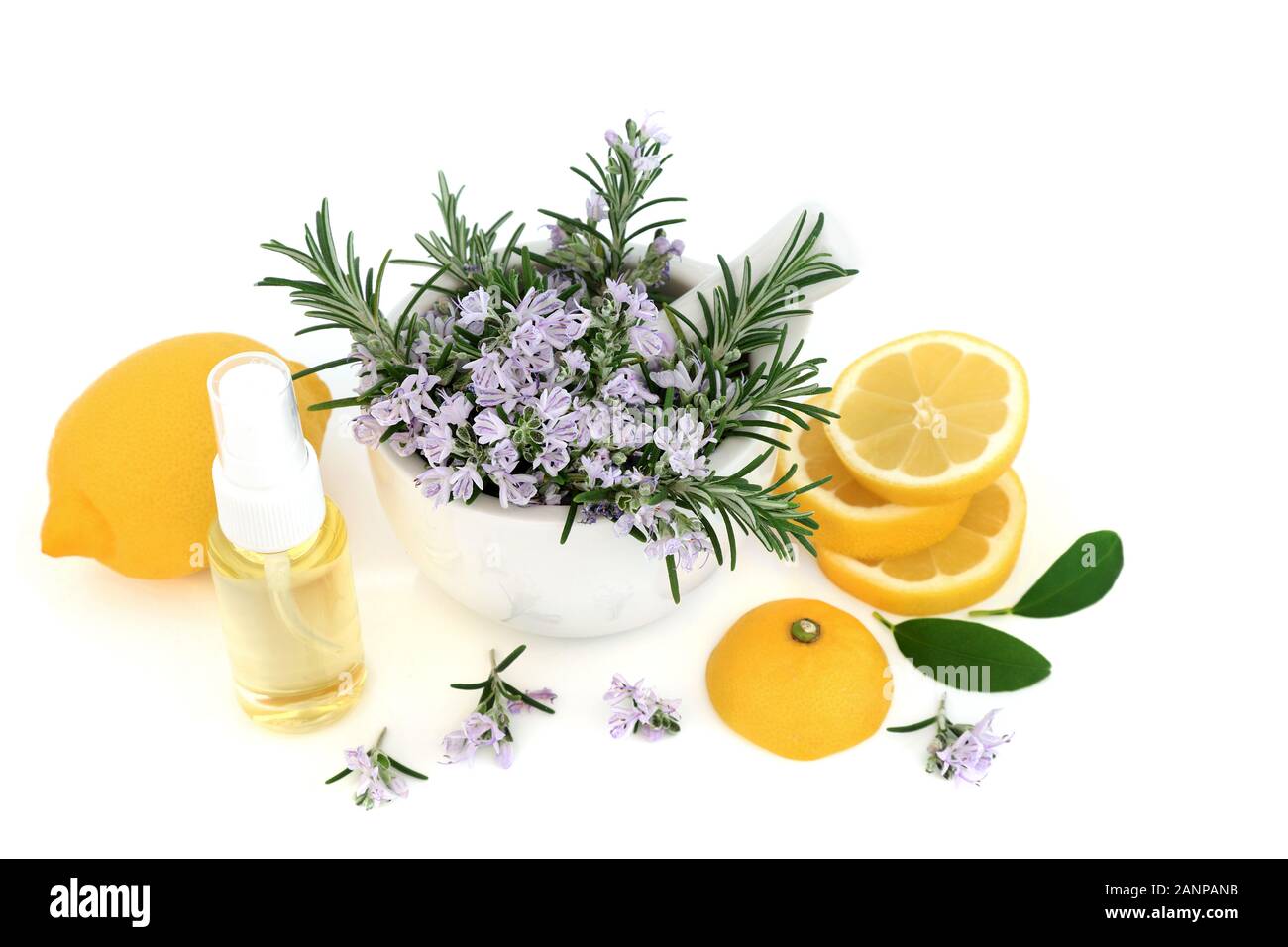 Rosmarin Kräuter & Zitrone Hautpflege Beauty Behandlung mit feuchtigkeitsspendenden Öl auf weißem Hintergrund. Anti aging Vorteile und hilft, die Haut zu verringern Stockfoto