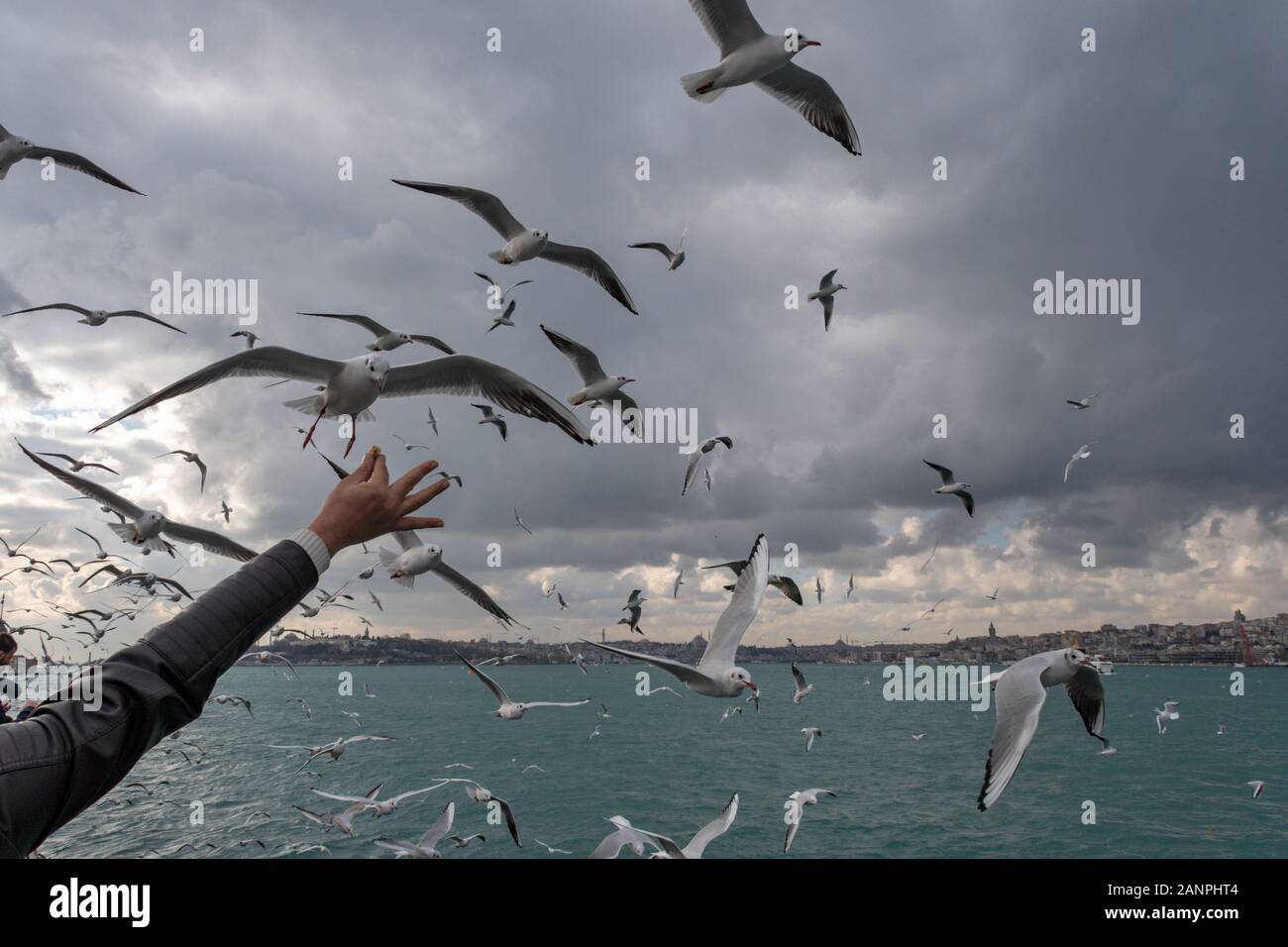 Den Bosporus in Istanbul, Türkei Stockfoto