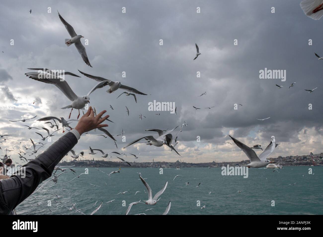 Den Bosporus in Istanbul, Türkei Stockfoto
