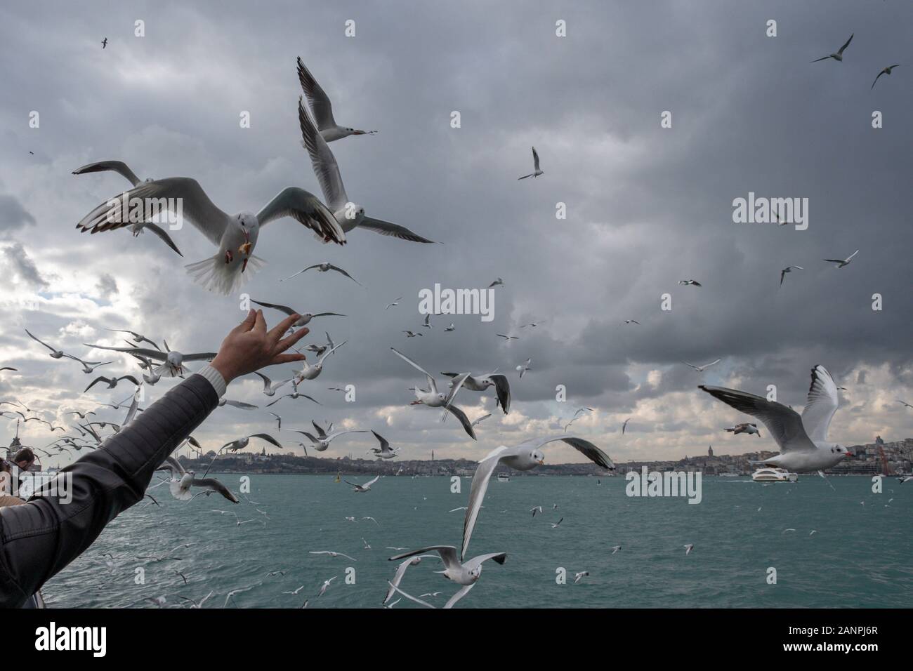Den Bosporus in Istanbul, Türkei Stockfoto