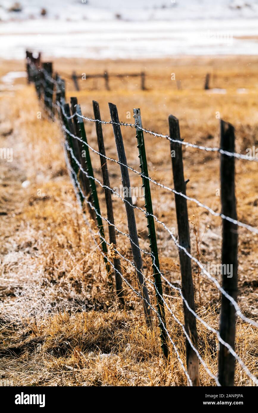 Stacheldraht zaun & Holzzaun Beiträge; Ranch in Colorado, USA Stockfoto