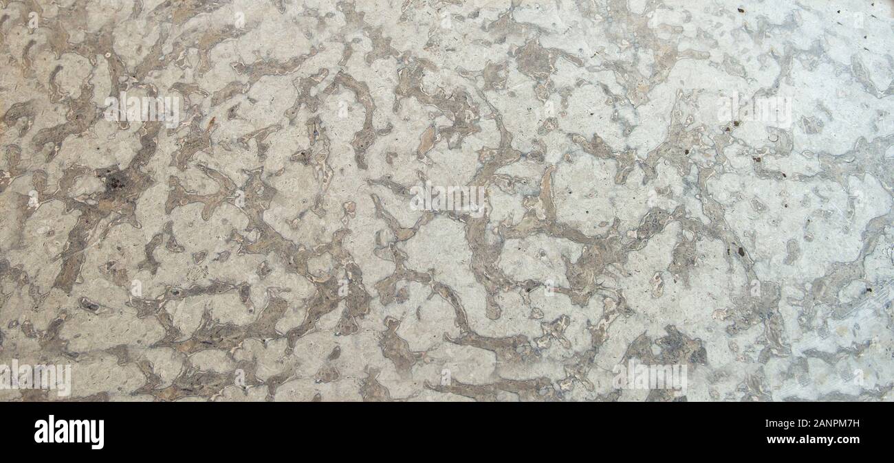 Kalkstein poliert Textur Probe bei geologischen Labor. Stein Proben bei geologischen Labor. Geologie Felsen im Labor. Labor für die Stockfoto
