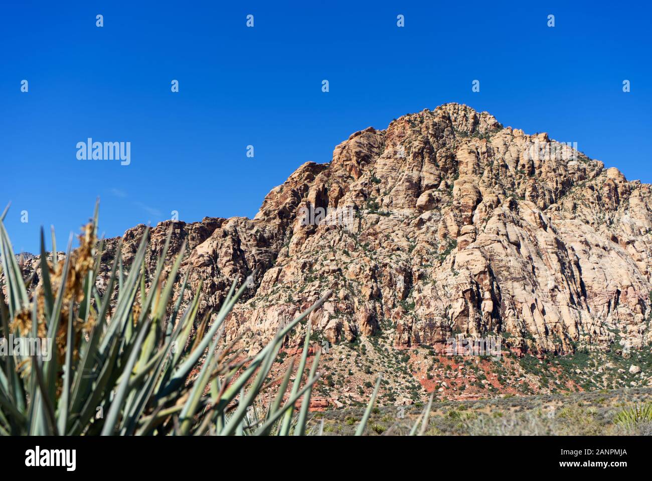 Bridge Mountain Red Rock Canyon, Westseite der Red Rock Canyon, in der Nähe von Las Vegas, Nevada, USA Stockfoto