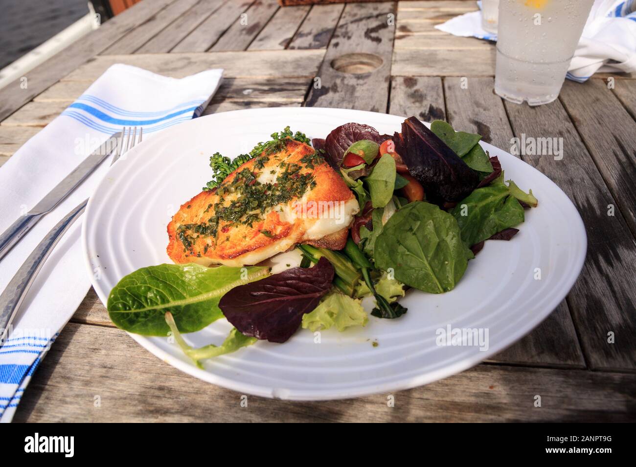 Wolfsbarsch, Brokkoli und eine Feder salat Abendessen in ein Restaurant am Meer in Key West, Florida. Stockfoto