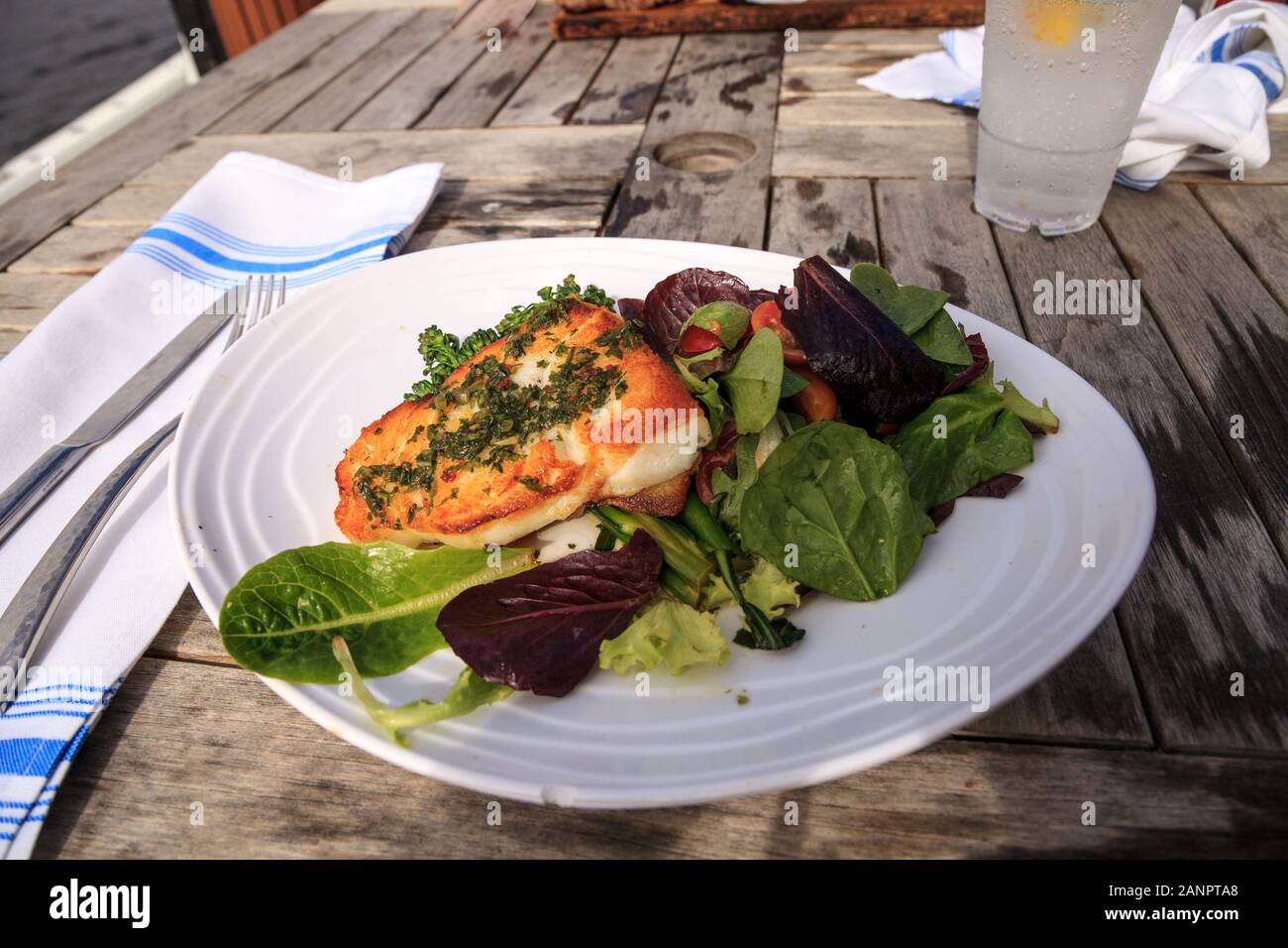 Wolfsbarsch, Brokkoli und eine Feder salat Abendessen in ein Restaurant am Meer in Key West, Florida. Stockfoto