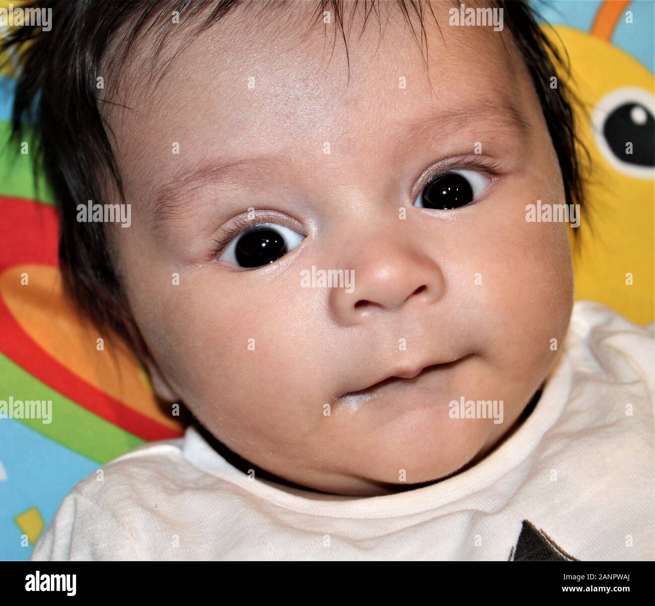 Braunglüsterter Baby-Junge mit einem Schock brauner Haare Stockfoto