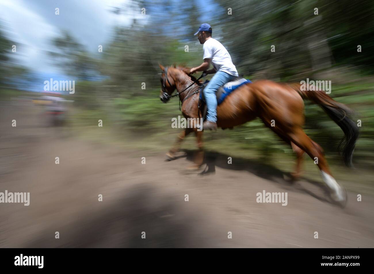 SABUCEDO, Spanien - 6./7. Juli 2019 - Die Rapa das Bestas (Scherung der Tiere) 2019 in Sabucedo Galicien Spanien statt Stockfoto