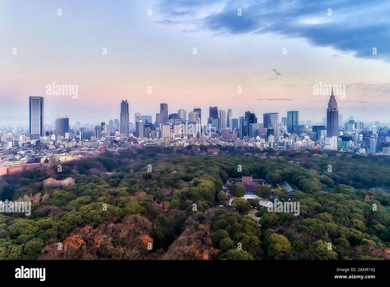 Shinto Schrein Meiji-Jingu im Zentrum von Tokyo in der Nähe des Shinjuku Business District bei Sonnenaufgang in erhöhten Luftaufnahme über Green Park und Garten in Richtung citys Stockfoto