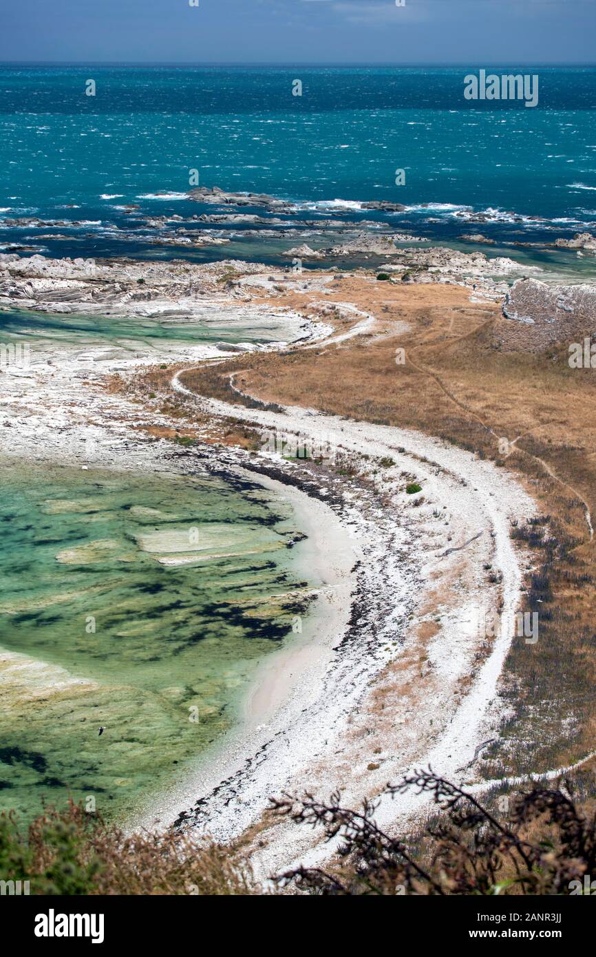 Kaikoura, Neuseeland: der Auftrieb durch das Erdbeben 2016 drückte Land aus dem Wasser, von den Weißen gezeigt - farbige Felsen nun klar der Gezeiten Stockfoto