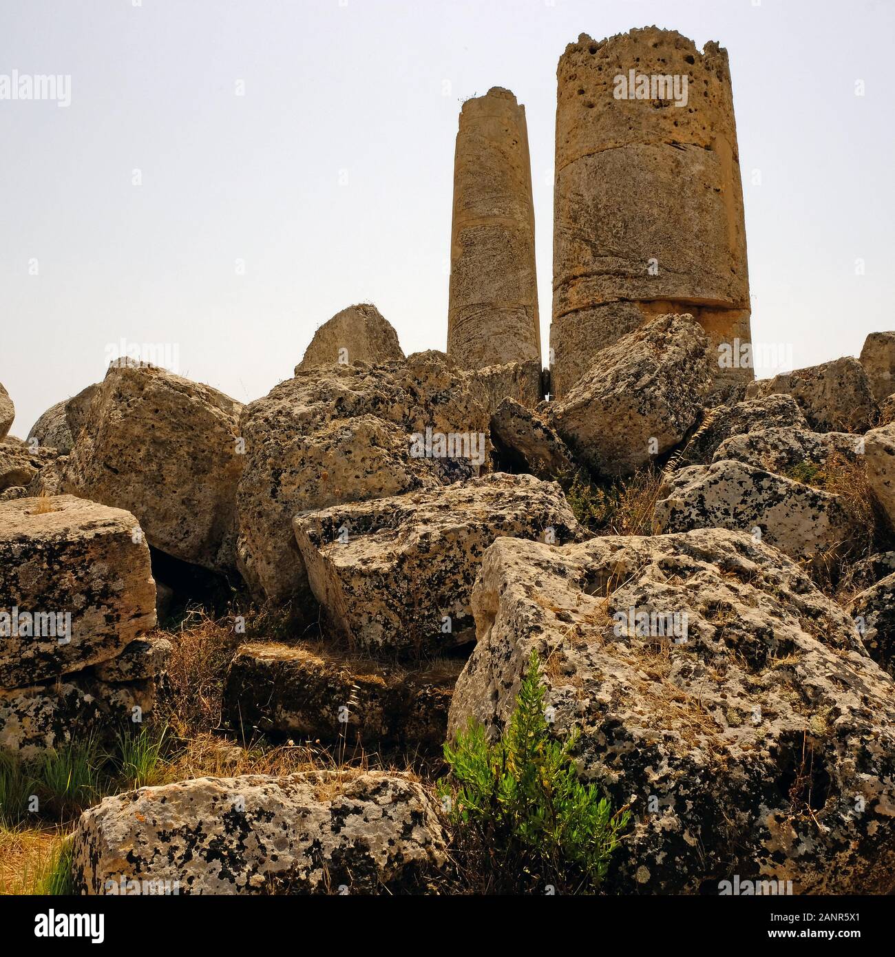 Tempel G im Archäologischen Park Selinunte Selinunte, Sizilien, Italien. Dieser von 530 bis 409 v. Chr. in Bau befindliche Tempel war der größte in Selinus. Stockfoto