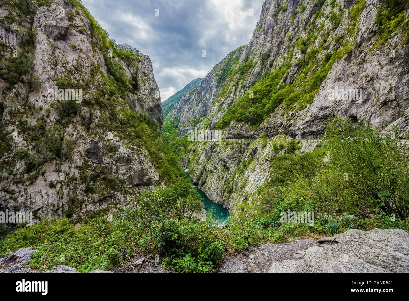 Tara Canyon, Berge und Wälder rund um im Naturpark Durmitor, Montenegro Stockfoto