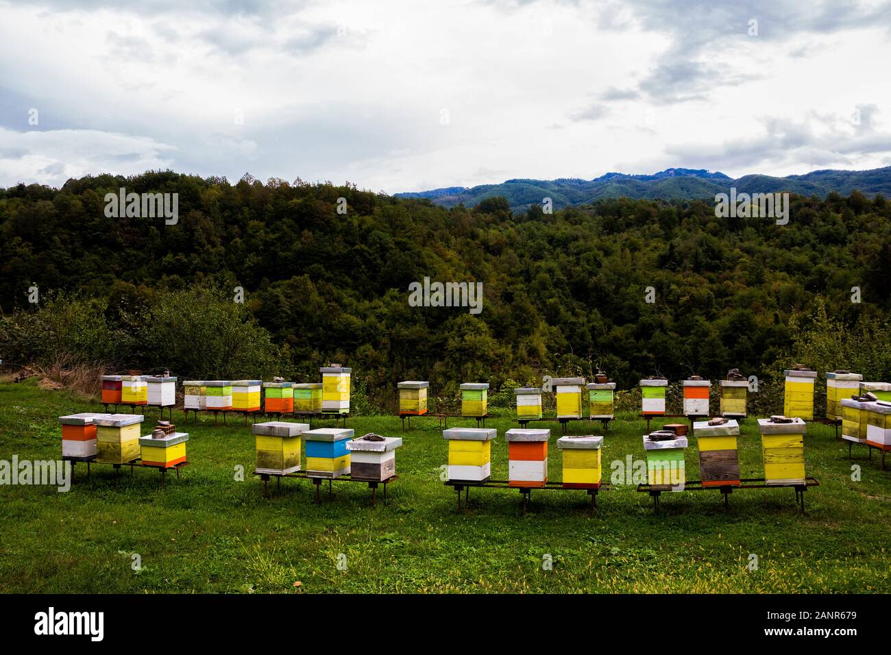 Kleine Imkerei mit bunten Bienenstöcke in Serbisch-orthodoxe Kloster (Kloster) Moracha Farm in den Bergen von Montenegro Stockfoto