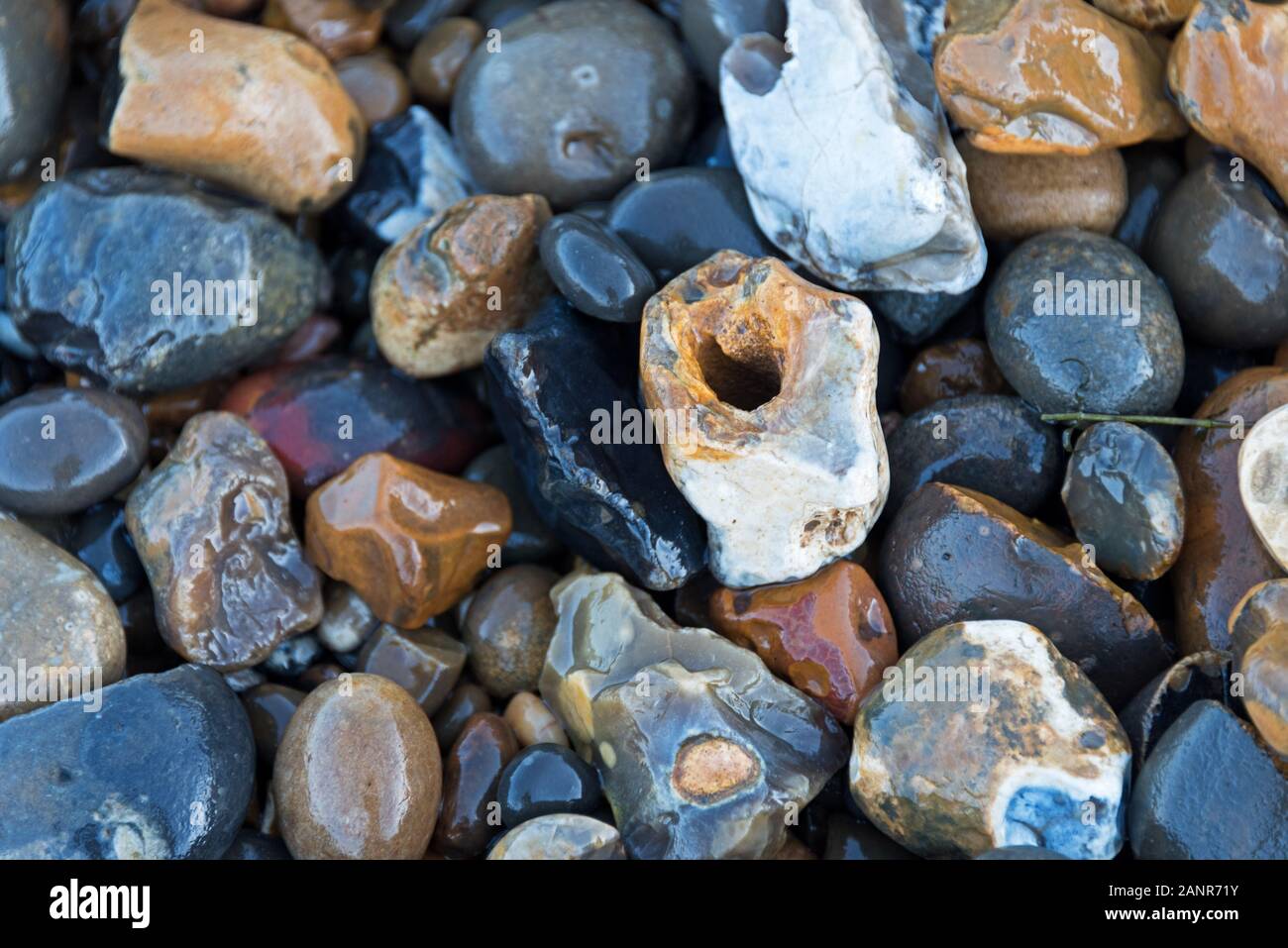Nahaufnahme von Flint Knötchen auf der Themse Vorland, Greenwich, London Stockfoto