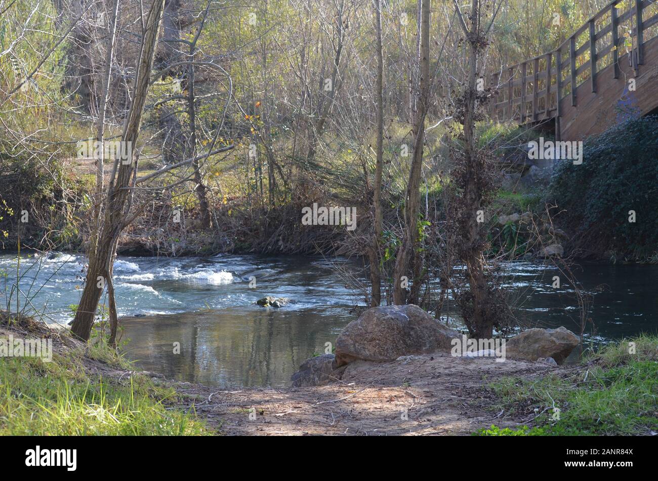 Unterlauf des Flusses Turia im Winter, Naturpark Turia, Valencia (Ostspanien) Stockfoto