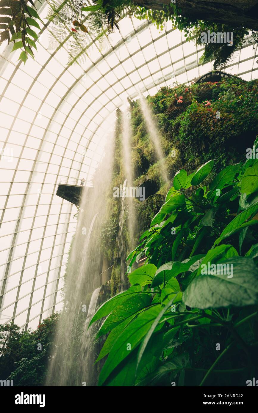 Wasserfall an der Cloud forest Dome in Singapur Stockfoto