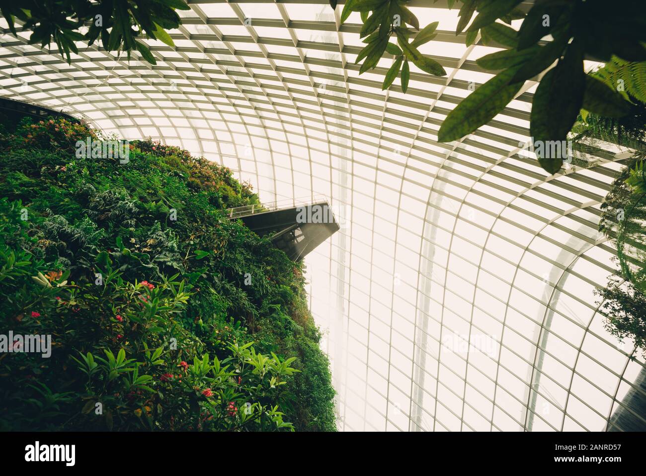 Die Cloud forest Kuppel in den Gärten beim Bay in Singapur Stockfoto