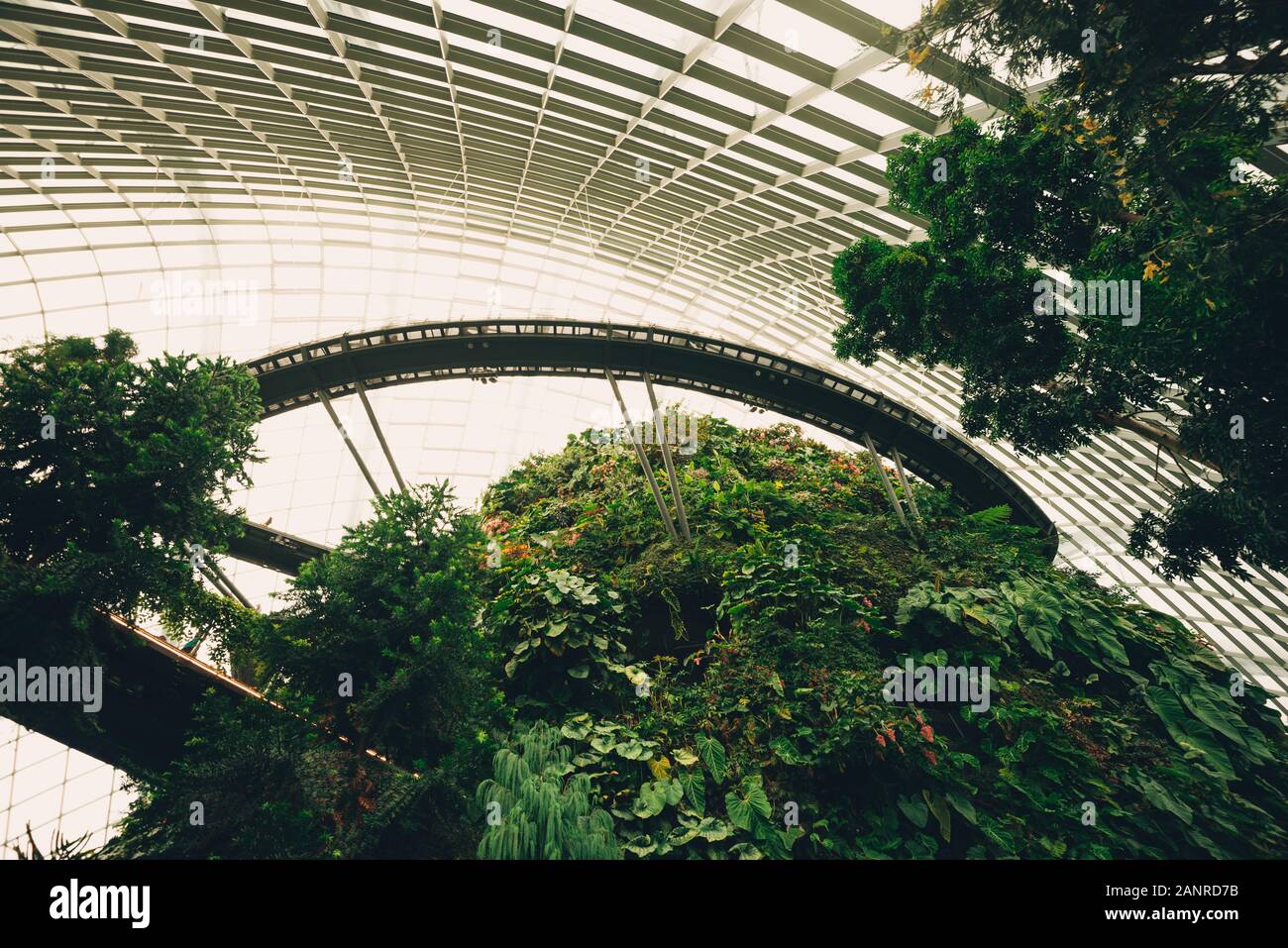 Die Cloud forest Kuppel in den Gärten beim Bay in Singapur Stockfoto