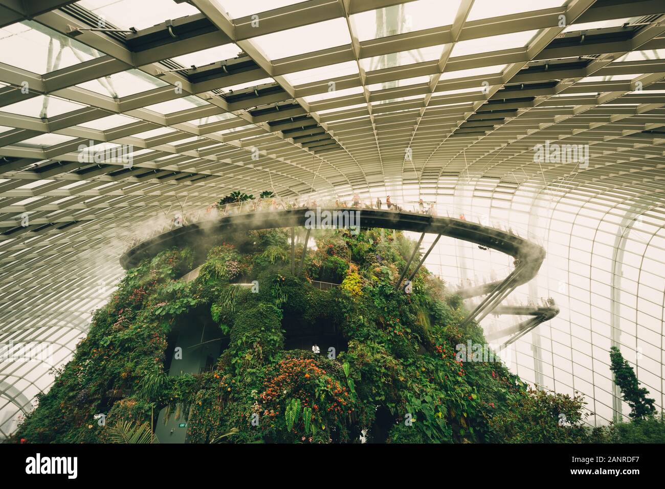Die Cloud forest Kuppel in den Gärten beim Bay in Singapur Stockfoto