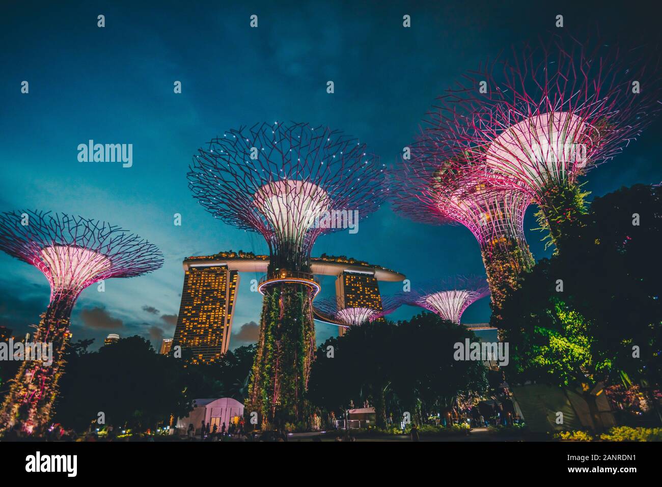 Die super Bäume an der Gärten durch die Bucht Attraktion in Singapur Stockfoto