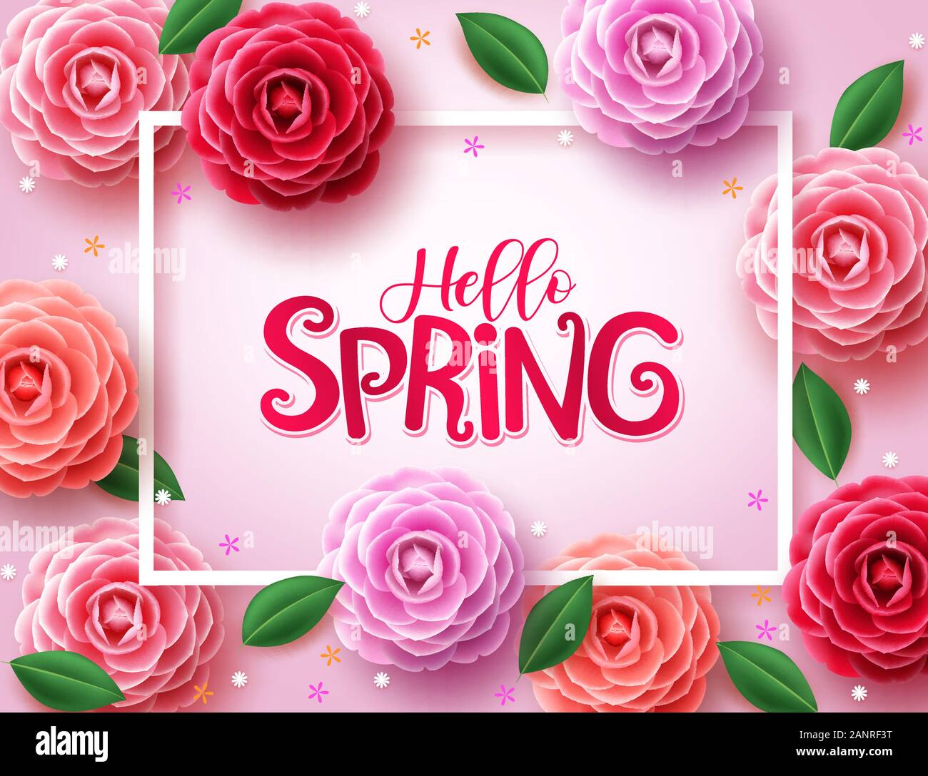 Hintergrund des Federvektors. Hallo Frühling Grüße Text mit verschiedenen Farben von Kamelienblumen und grünen Blättern Elemente Dekorationen für die Frühlingssaison. Stock Vektor