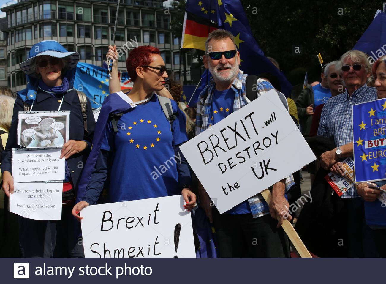 EU-Befürworter in der Sonne bei einer Anti-Brexit Kundgebung in London Stockfoto