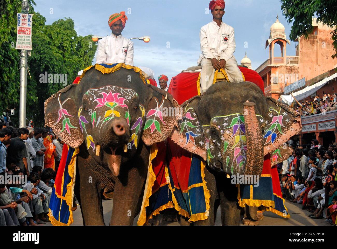 Teej Festival, Rajasthani Männer Reiten machen Elefanten bei der Prozession. Rajasthan, Indien. Stockfoto