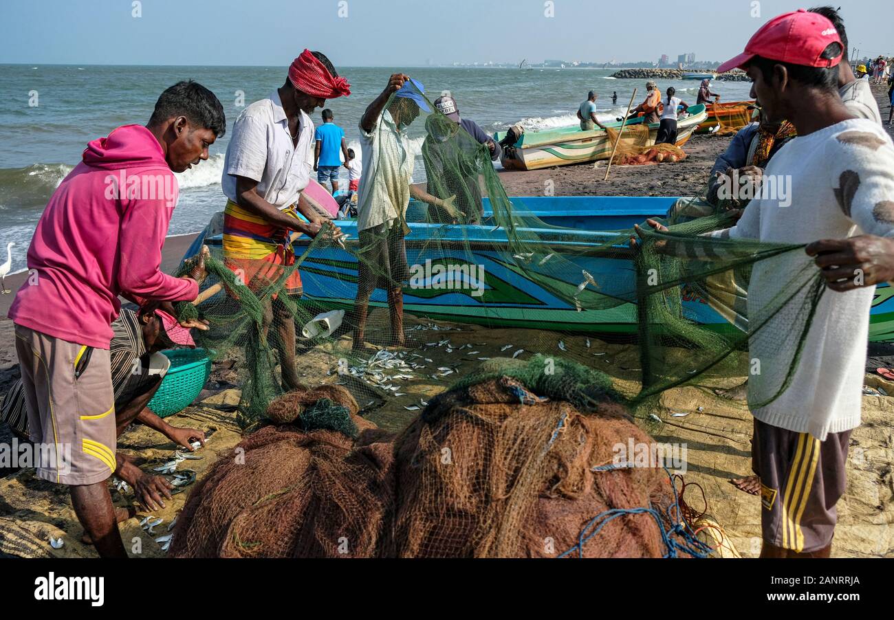 Negombo, Sri Lanka - Januar 2020: Fischer holen nach einer nächtlichen Angelmöglichkeit am 12. Januar 2020 in Negombo, Sri Lanka, Fisch aus ihren Fischernetzen. Stockfoto