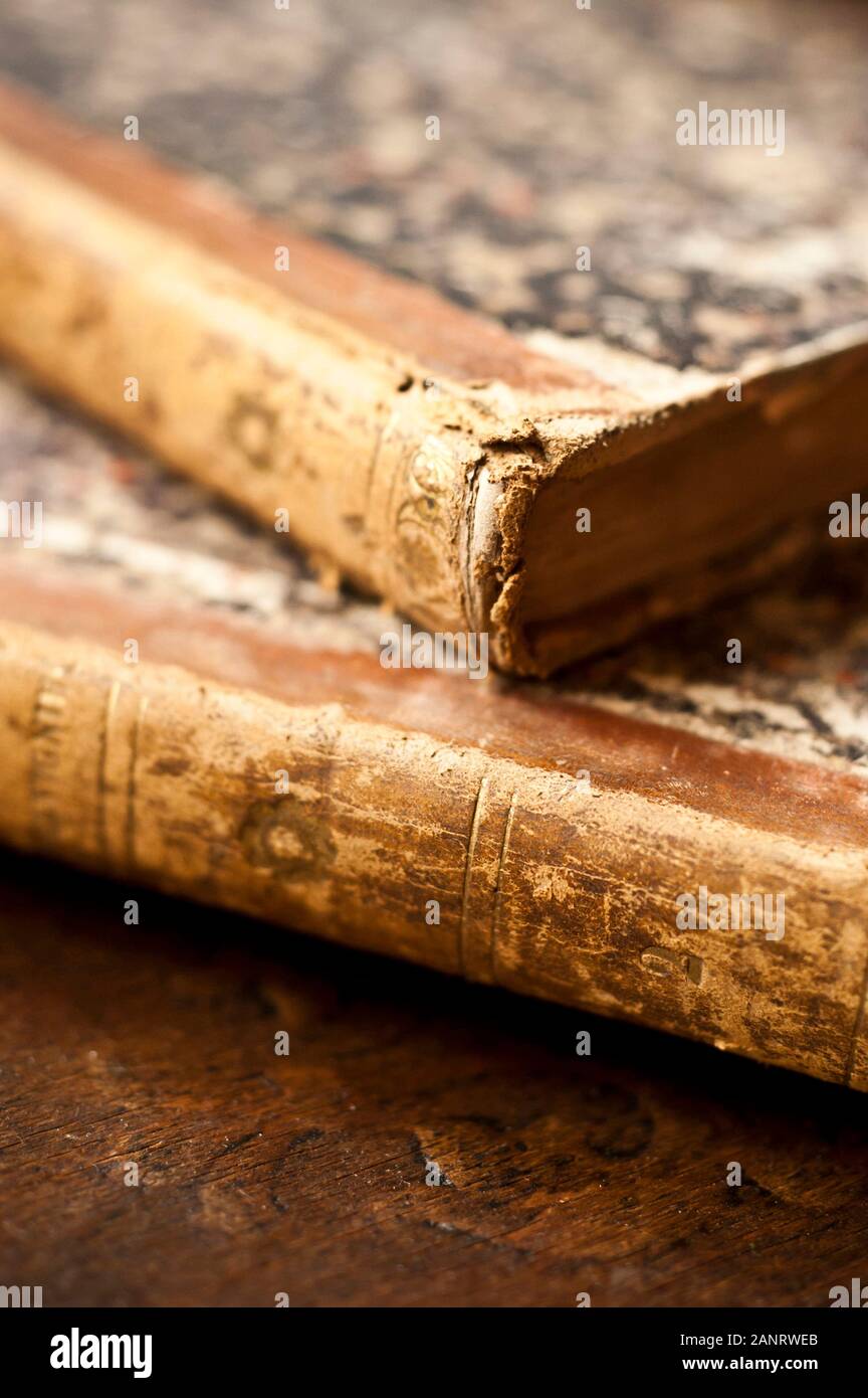 Alte Bücher - Weltbuchtag Stockfoto