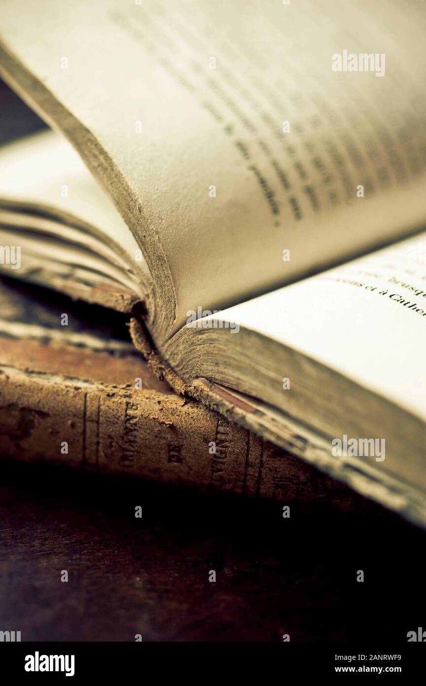 Alte Bücher - Weltbuchtag Stockfoto