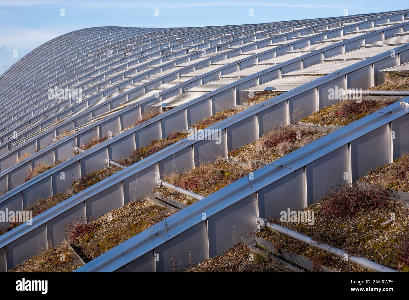 Zentrum Paul Klee, Schweiz Bern, Kunstgalerie gewidmet dem Künstler Paul Klee. Das Gebäude hat ein grünes Dach und wurde von Renzo Piano entworfen. Stockfoto