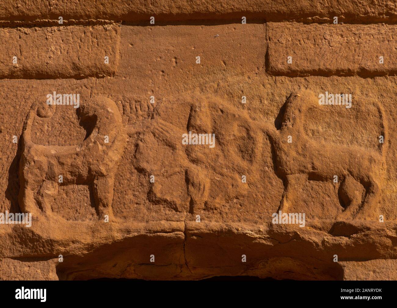 Rosette und Löwen auf einem Grab in al geschnitzt - Hijr archäologische Stätte in Madain Saleh, Al Madinah Province, Alula, Saudi-Arabien Stockfoto
