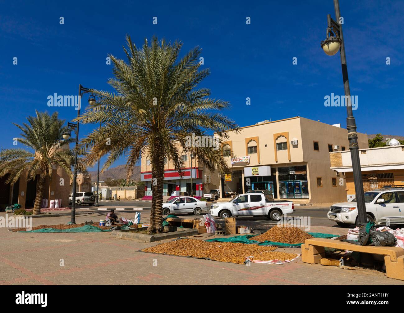 Termine in der Straße getrocknete Kamele zu füttern, Najran Provinz Najran, Saudi-Arabien Stockfoto