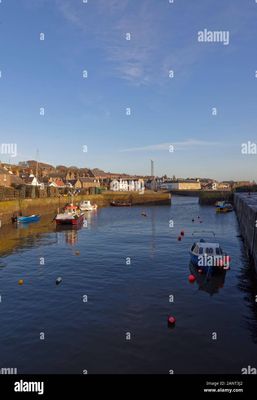 Der innere Hafen von Johnshaven, mit einigen kleinen Fischerbooten in