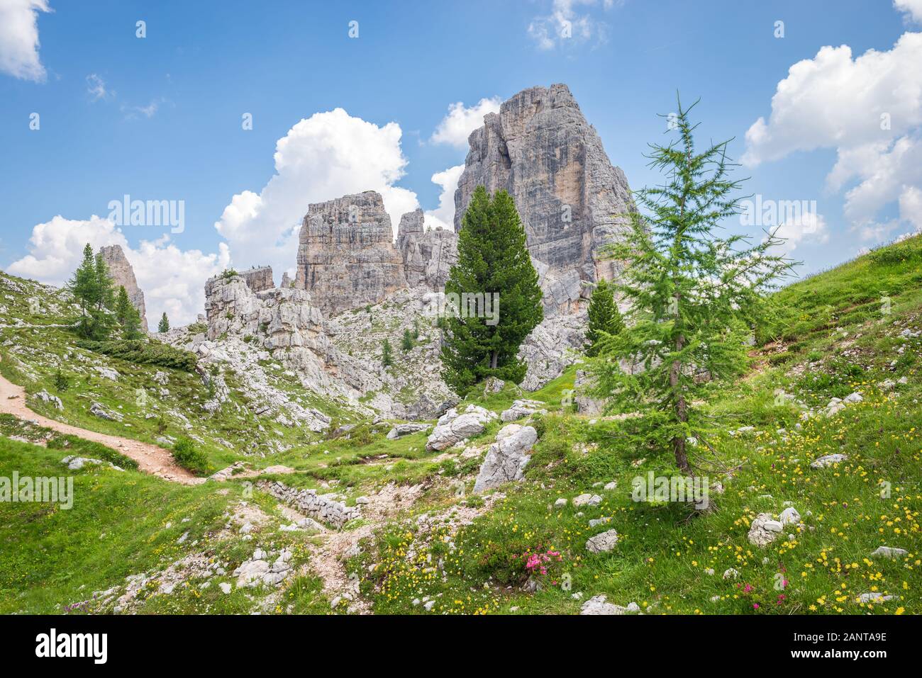 Charakteristischer Blick auf die Berge der Dolden zwischen dem Marmolada-Gletscher und Cortina d'Ampezzo. Im Vordergrund steht Lärchenbaum. Stockfoto