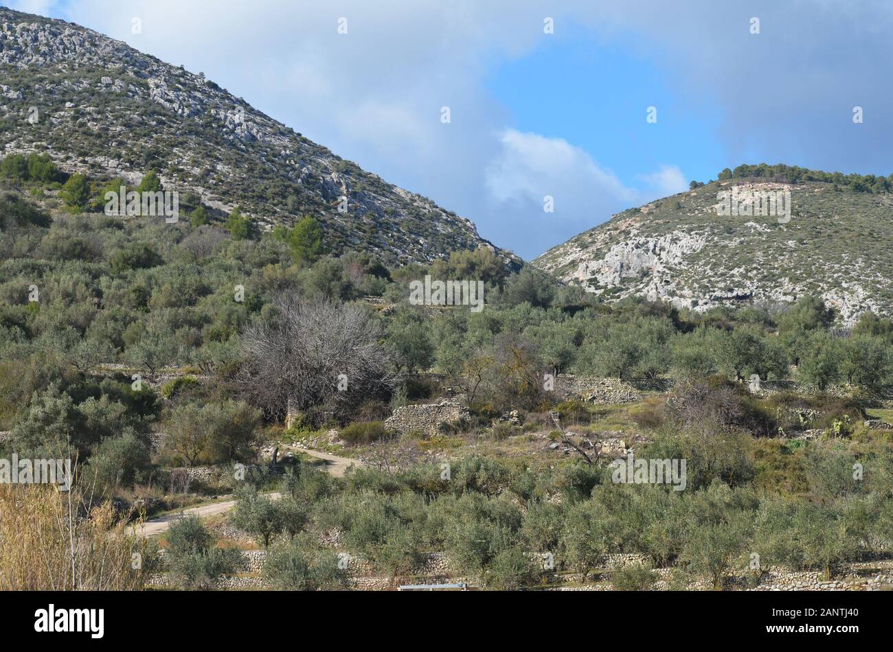 Berge von La Marina (Alicante, Spanien), in der Nähe der Ortschaft Castell de Castells Stockfoto