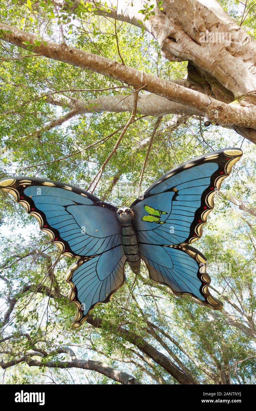 Ein Schmetterling Skulptur hängt von einem Baum an Marie Selby Botanical Gardens in Sarasota, Florida, USA. Stockfoto